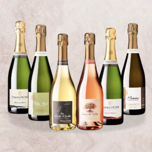 6 flessen champagne van Pierre Domi